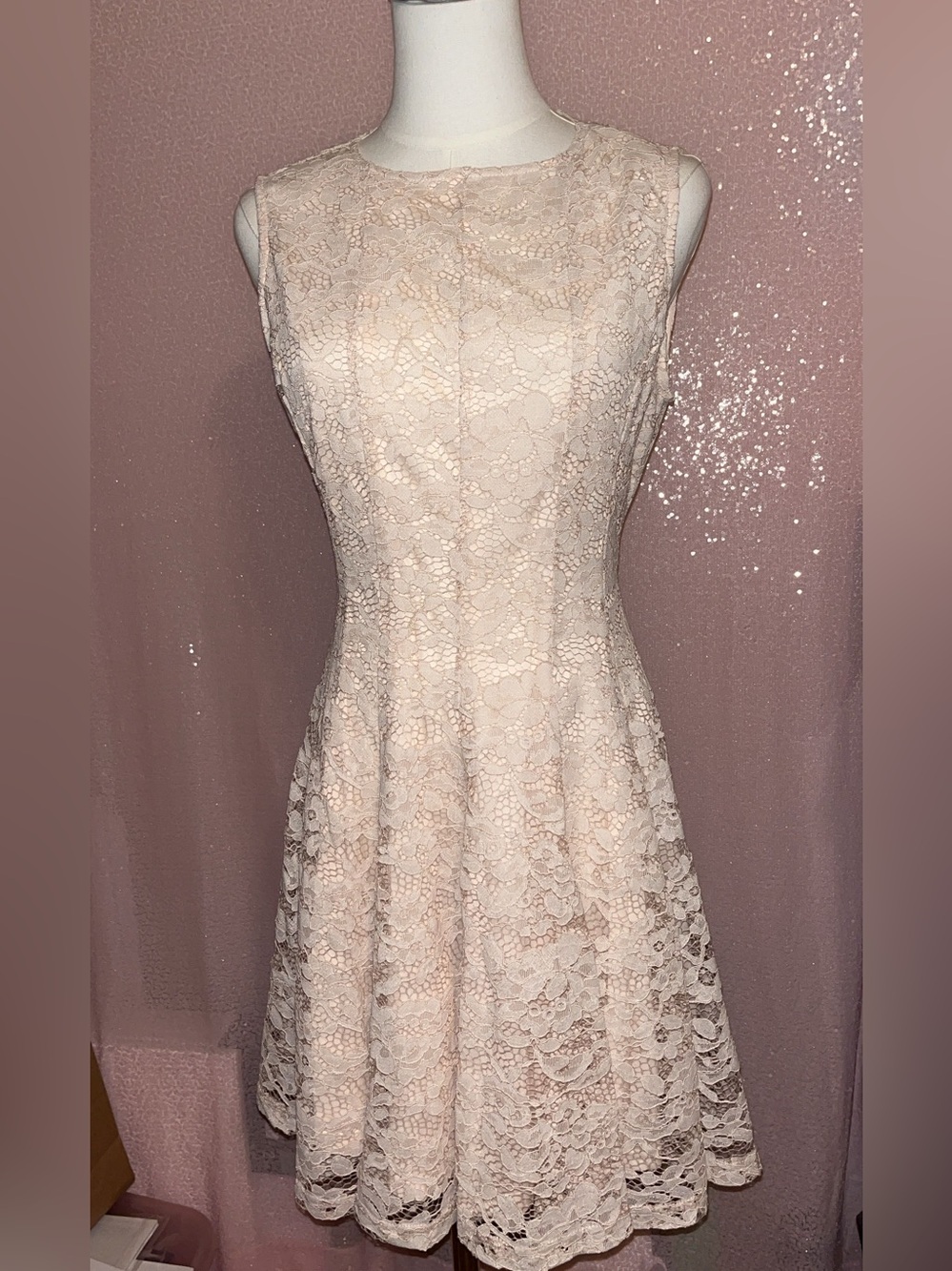 Lace Midi Dress in Blush